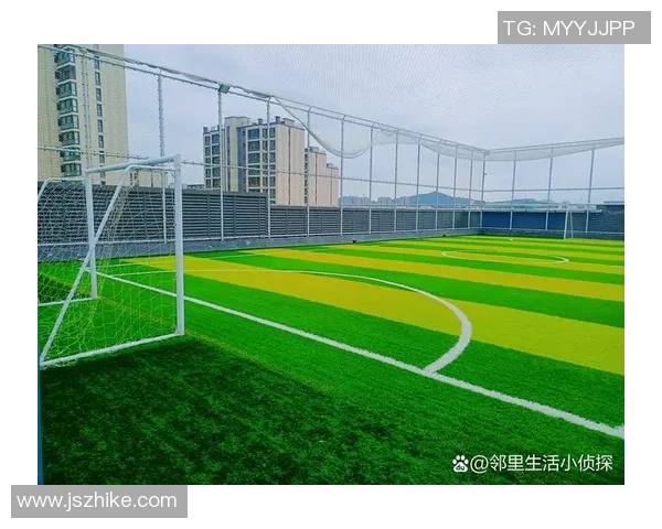 足球巨星的荣耀与挑战：从绿茵场上的拼搏到场外的生活点滴